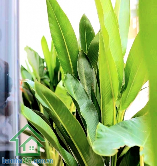  5,15 TỶ – HẺM XE TẢI 6M THÔNG – TÂN KỲ TÂN QUÝ – NHÀ MỚI Ở LIỀN – DT 40M² (4x10)m – 3PN – 2WC Nhà đẹp mới tinh – BTCT kiên cố * Diện tích: 4 x 10m * Kết cấu: 1 trệt + 1 lửng + 1 lầu* Công năng đầy đủ: 3PN – 2WC * Nội thất xịn, chỉ việc xách vali vào ở ng