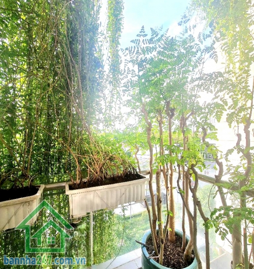 NHỈNH 17 TỶ – MTKD ĐƯỜNG CHÍNH VÀO MIZUKI PARK – CÓ THANG MÁY – TẶNG FULL NỘI THẤT GỖ CAO CẤP DT: 105m² (5x21)m – 1 trệt, 4 lầu, thang máy.